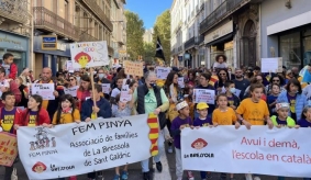 dBalears: Manifestació a Perpinyà a favor d'un col·legi-liceu que vol fer La Bressola i que l'Ajuntament bloqueja