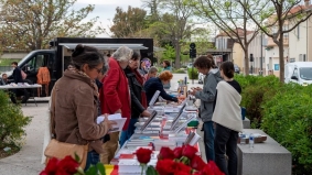 L'Indépendant: La Sant Jordi bourgeonne à Perpignan